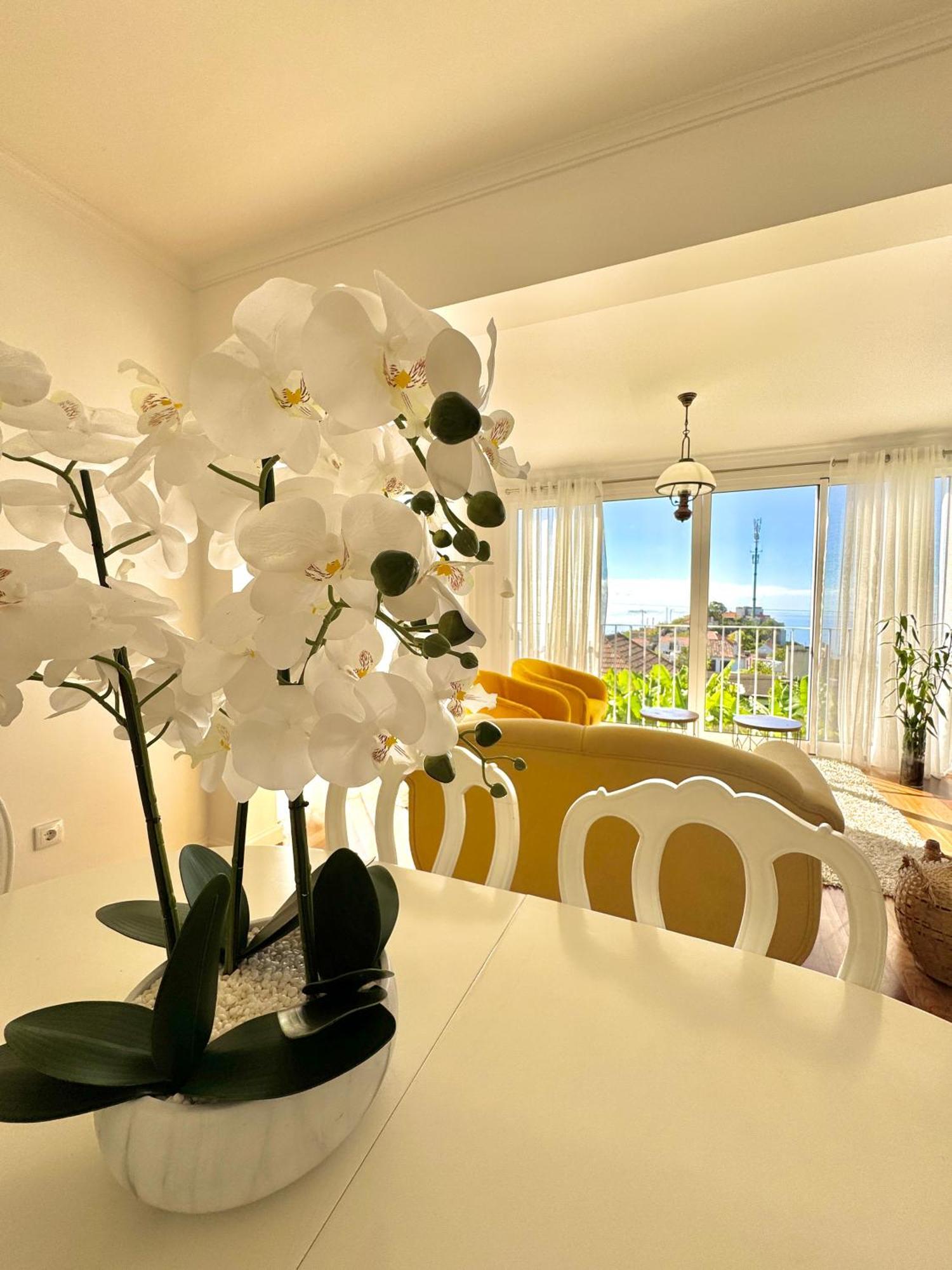 A Velha Casa Caboz Apartment Ponta do Sol  Bagian luar foto